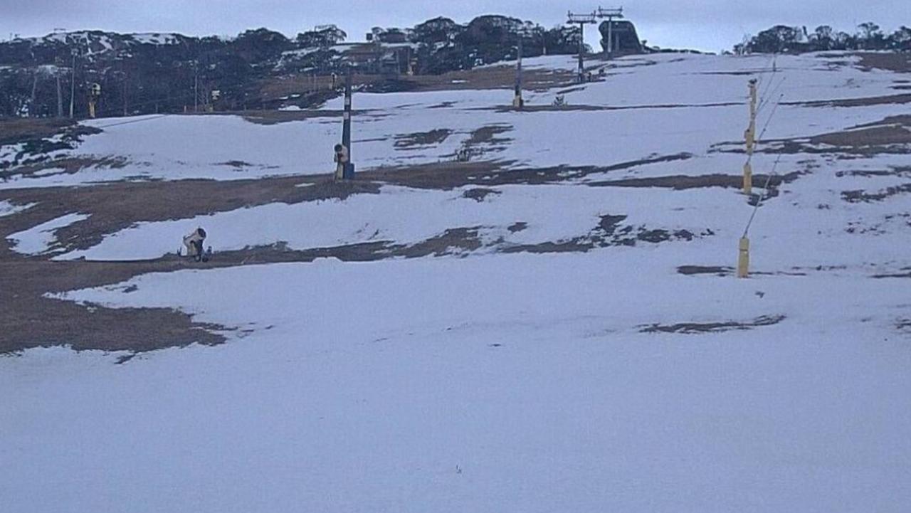 Live still from front valley, Perisher ski resort's main access run to the entire resort on Monday. Picture: ski.com.au