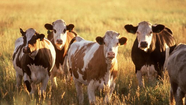 China has banned the beef exports of another Queensland abattoir.