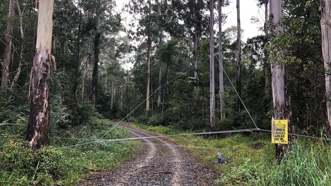 An elaborate network of ropes blocking the entrance to Orara East State Forest near Coffs Harbour in June. The forest has been a hotbed of protest activity.