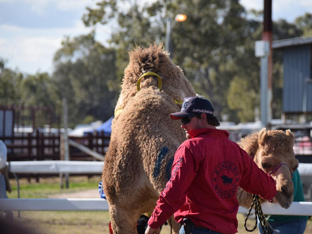 Thousands of people from all over Australia made their way through the front gates of Tara Festival 2022 for a fun-filled weekend. Picture: Emily Devon