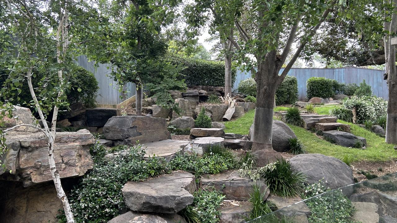 The panda enclosure at Adelaide Zoo. Picture: Supplied