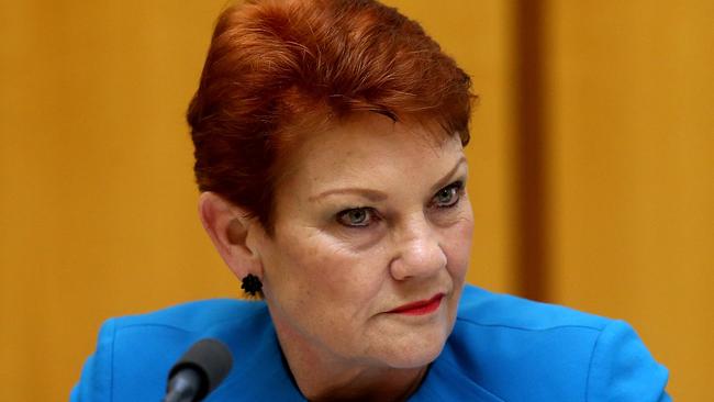 Senator Pauline Hanson has tweeted about today’s terror attacks in London. Picture: Kym Smith