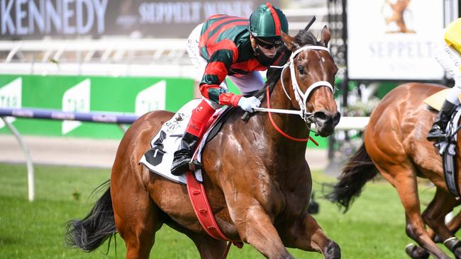 September Run loves the Flemington straight course and will be flying home in the Coolmore Stud Stakes. Picture: Getty Images