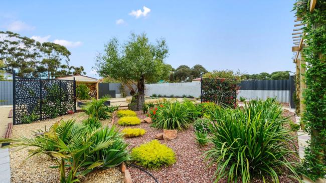 There’s plenty of greenery to be seen despite there being no grass. Picture: realestate.com.au