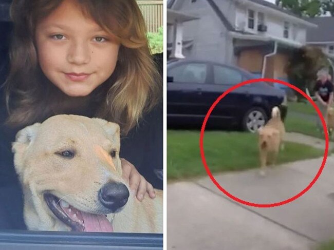 The family were left devastated after the cop shot their dog dead.