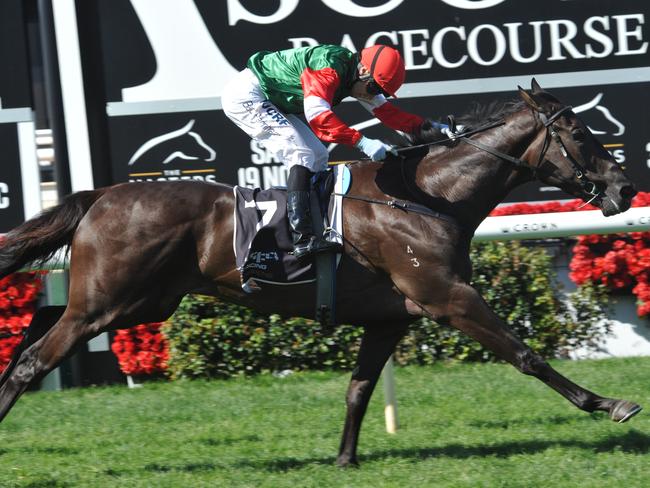 Former Perth star Samovare gets decent weight relief here on last-start second.