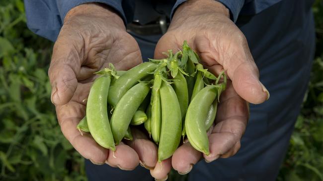 Inflationary pressure are being felt by regional Victorians, including primary producers trying to keep up with rising input costs. Picture: Zoe Phillips