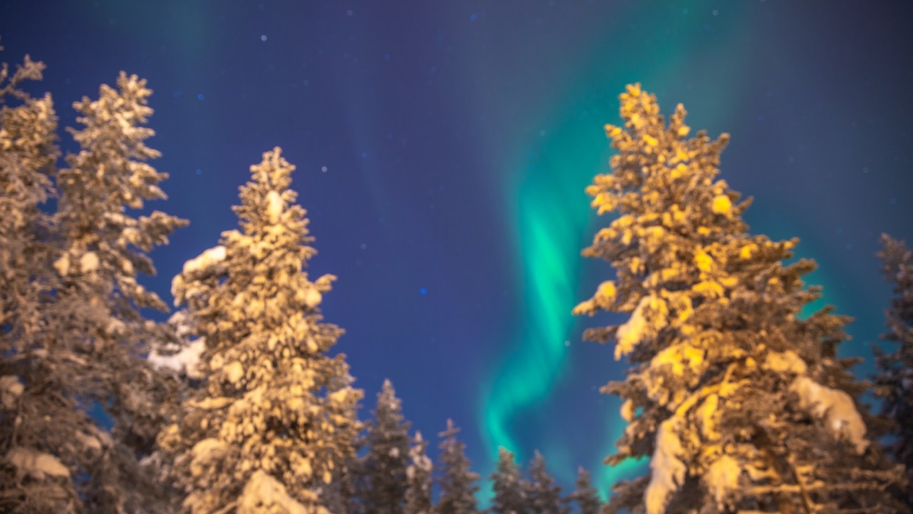 Maximize Your Chances to See the Northern Lights