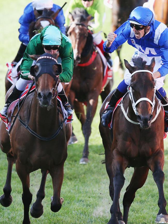 Winx takes the win just ahead of Humidor in the Cox Plate. Photo: Michael Dodge/Getty Images