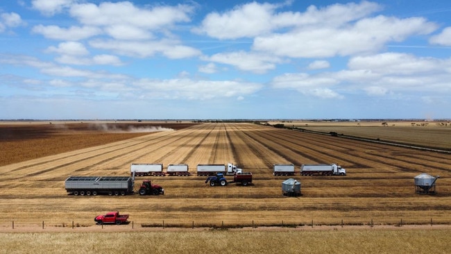 An aerial view of the first Konzag Grains 2022 harvest, taken by drone. Supplied.