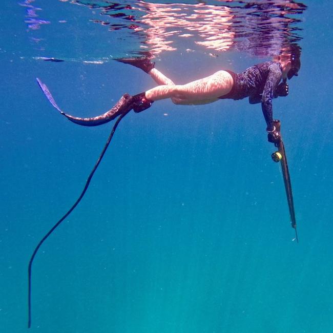 A diver uses the speargun-esque looking Shark Shield.