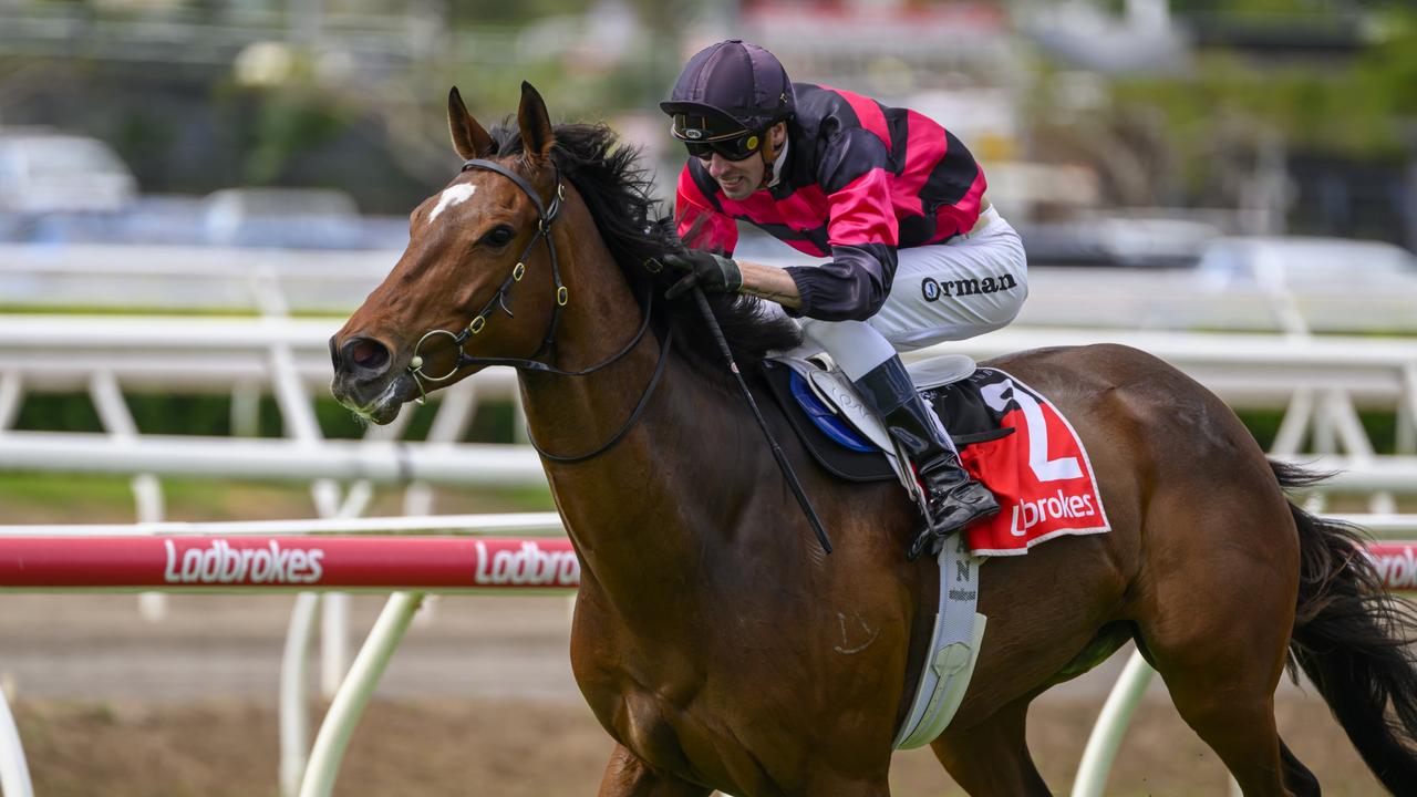 James Orman aboard I Am Artie for trainer Paul Jenkins. Picture: Racing Queensland.