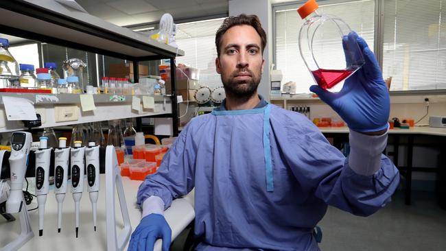 Menno Van Zelm has been getting cells from Italy, the US and Spain to create a test to determine when people have immunity to COVID-19. Picture: David Geraghty