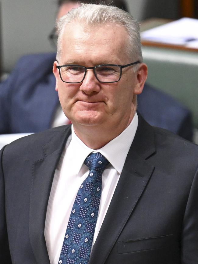 Tony Burke. Picture: NewsWire/Martin Ollman