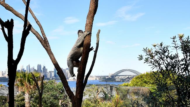 As is Taronga Zoo. (AAP Image/Joel Carrett)