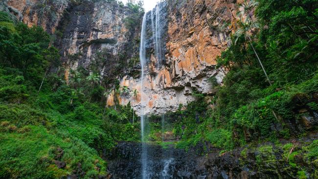 Looking up to the top of Purlingbrook Falls. Picture: Destination Gold Coast