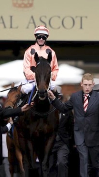 Australian racehorse Black Caviar dies aged 17