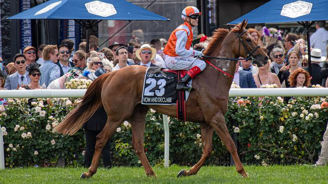 Vow And Declare was the last chestnut to win the Melbourne Cup in 2019. Picture: Jason Edwards.