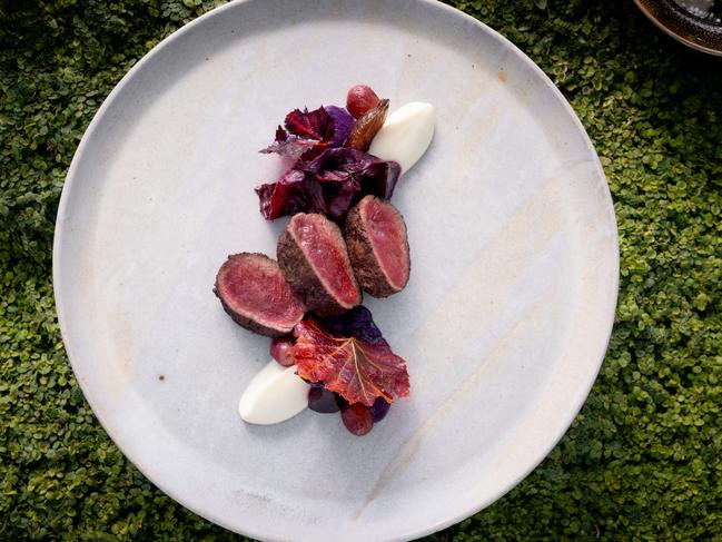 The Source’s wild harvest Tasmanian venison, which is complemented by celeriac, red cabbage, grilled grapes, caramelised shallots, baby beetroot, fried vine leaves and pepperberry jus. Picture: Rosie Hastie/MONA