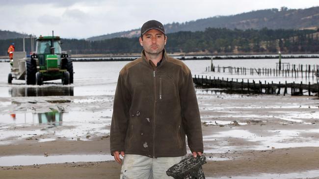 Oysters Tasmania vice chairman Joshua Poke, on his farm at Cambridge.