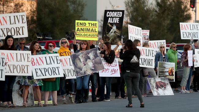 Protesters hold signs during a ban live export flash rally at Port Adelaide. Picture: AAP / Kelly Barnes