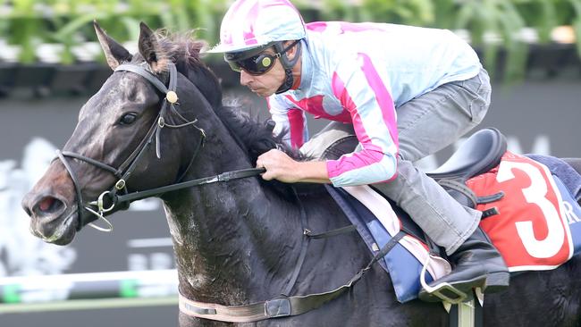 No barrier to success: Stradbroke favourite and Group 1-winning mare Azkadellia easily wins a trial at Eagle Farm on Thursday. Picture: Jono Searle