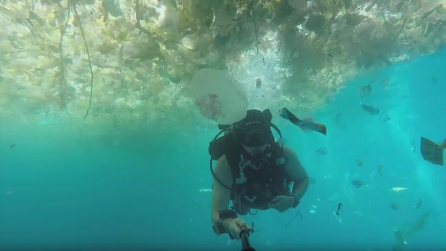 Diver Richard Horner said he’d never seen anything on this scale.