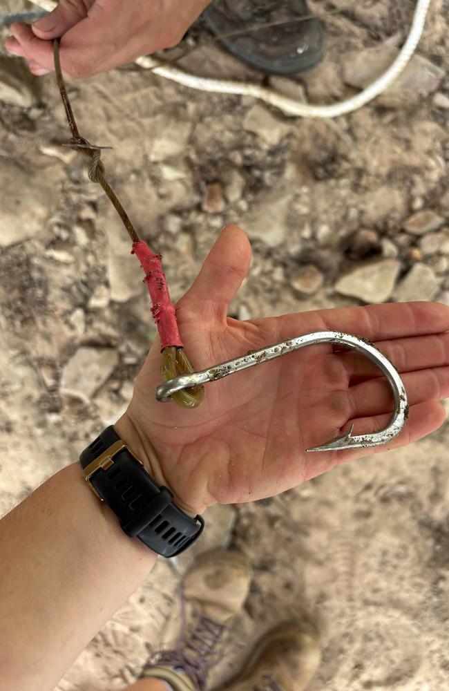 Wildlife officers found the hook and snare line during an investigation into a sighting report of a large crocodile in Bohle River On 20 January 2025. Picture: DETSI