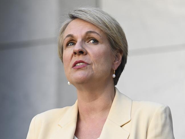 Minister for Environment and Water Tanya Plibersek has blamed the former government for not providing enough money to upgrade Reef HQ. Picture: NCA NewsWire / Martin Ollman