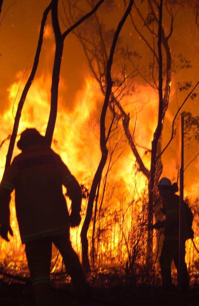 Online readers trusted The Daily Telegraph for news of the horror bushfire season. Picture: Dean Dampney