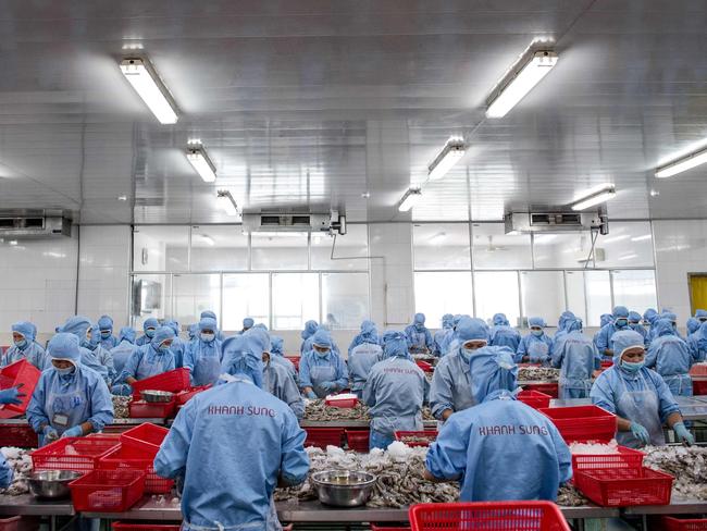 In this photo taken on July 13, 2017, Vietnamese workers devein shrimp at the Khanh Sung Seafood Company in the My Xuyen district in southern Vietnam. The Mekong Delta, long renowned as the “rice bowl of Vietnam”, is now also home to a multi-billion-dollar shrimp industry and burgeoning numbers of farmers are building fortunes from the small crustaceans. Picture: AFP