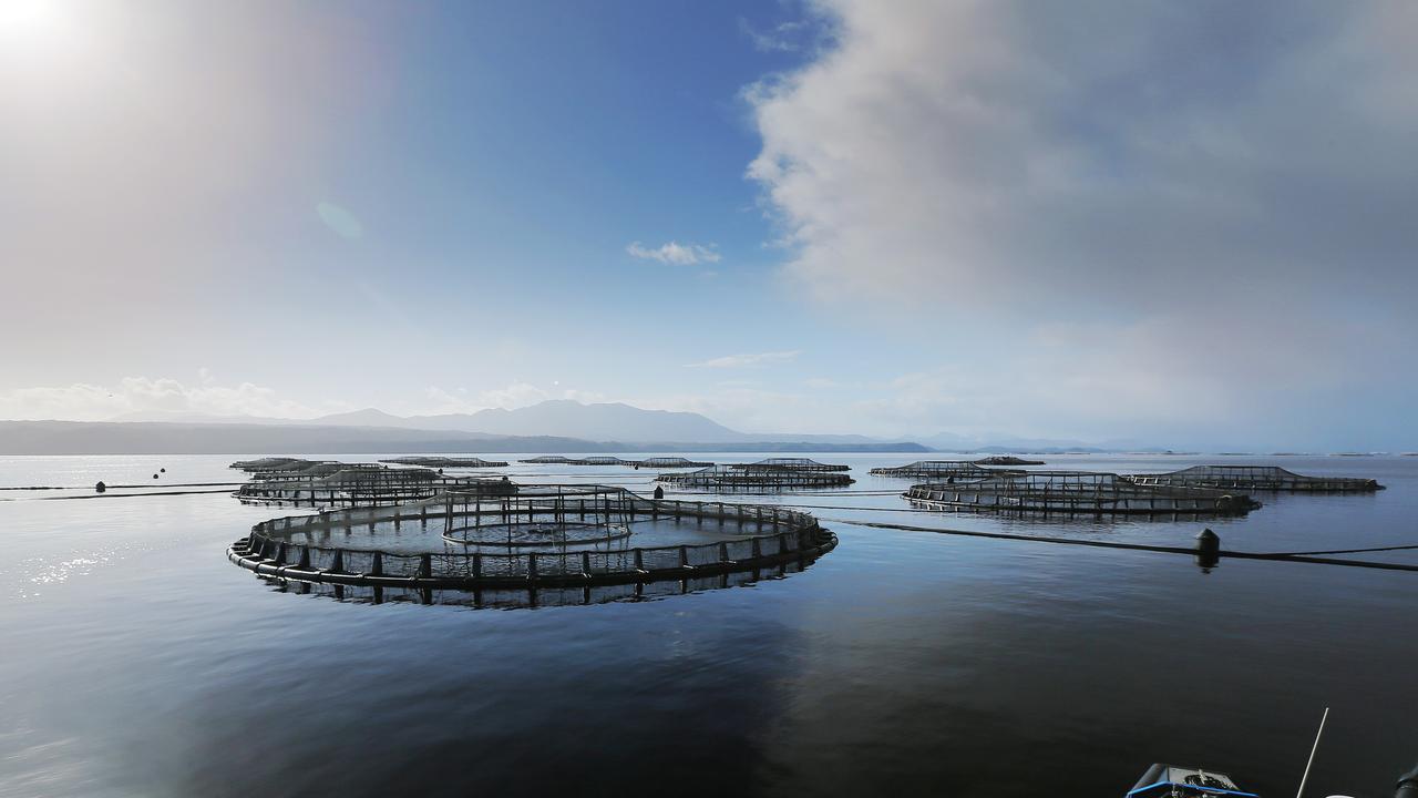 Tassal salmon pens, in Macquarie Harbour, Strahan, West Coast of Tasmania Picture: MATHEW FARRELL