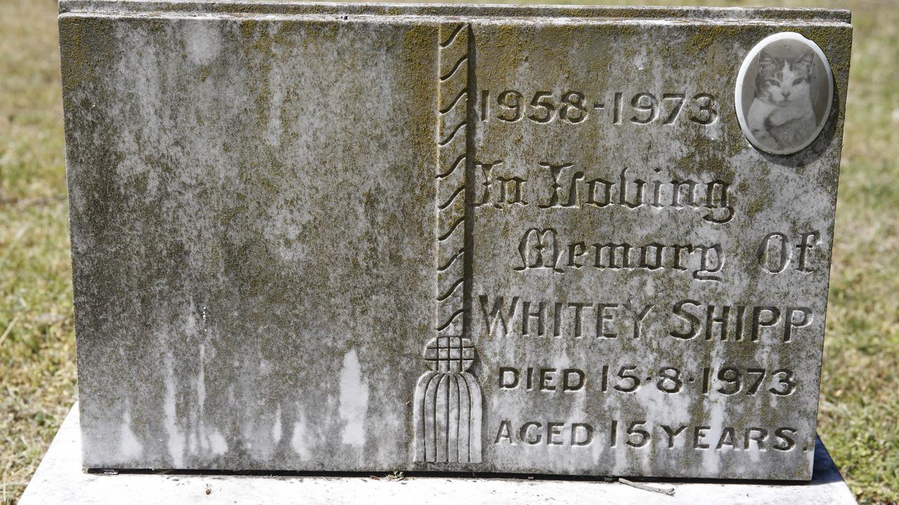 A cat buried in the early days of the cemetery, which is now nearing 50 years of operation.