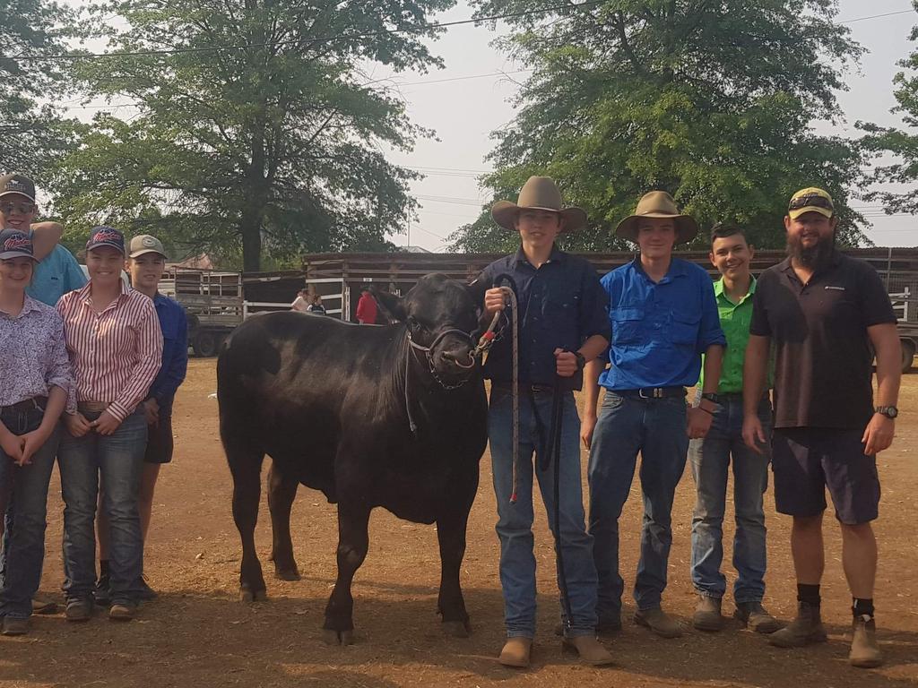 Maclean High School students are about to start competing in steer competitions.