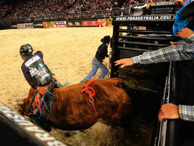 Bradie Gray competes in the Professional Bull Riders Australia National Finals in Sydney in 2016. Picture: Mark Evans