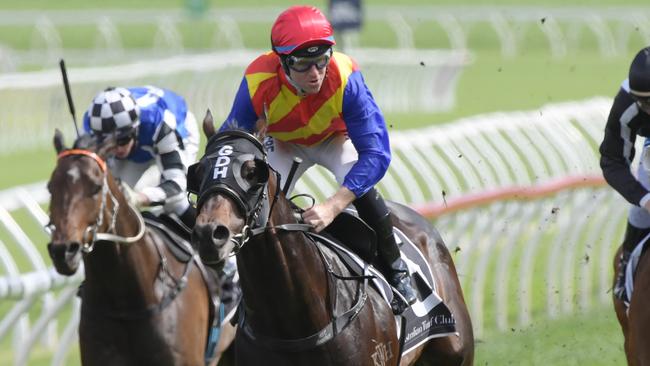 Pierata blitzed his rivals in last year’s Sydney Stakes on Everest Day. Picture: AAP