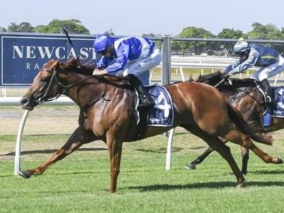 The Mark Minervini-trained Rubi's Serve wins at Newcastle in December last year. PIcture: Bradley Photos