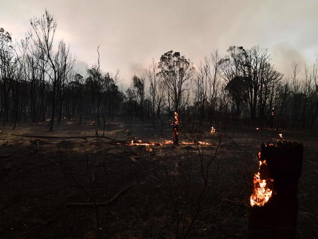 Trees burn on residential property as bushfires hit the area around the town of Nowra in the Australian state of New South Wales on December 31, 2019. - Thousands of holidaymakers and locals were forced to flee to beaches in fire-ravaged southeast Australia on December 31, as blazes ripped through popular tourist areas leaving no escape by land. Picture: Saeed Khan/AFP