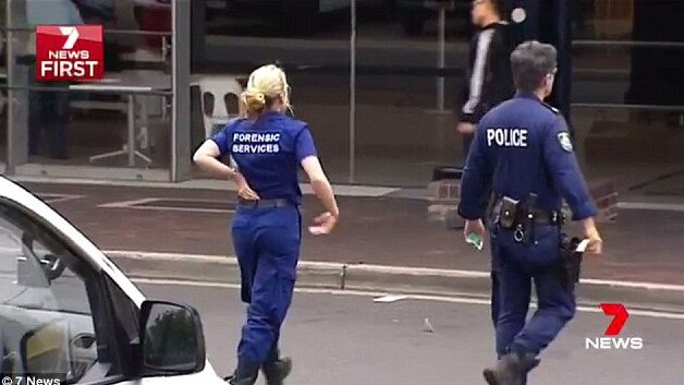 Police officers board the Royal Caribbean cruise ship back in 2016. Picture: Channel 7