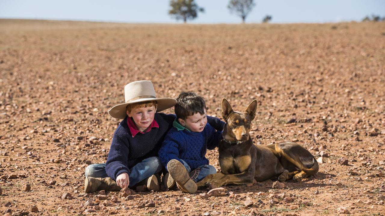 Brothers Lachlan and Archie Orr with their dog Ege near Parkes in western NSW. “There is no down time,” says their mother Kate. “All our time is spent carting water and feed. If (father) Spike comes in for lunch we are on Excel spreadsheets working out how to adjust the feed and ringing around trying to find where to buy it. Just two years ago we were marking our lambs in flooded paddocks.” August, 2019. Picture: Dylan Robinson