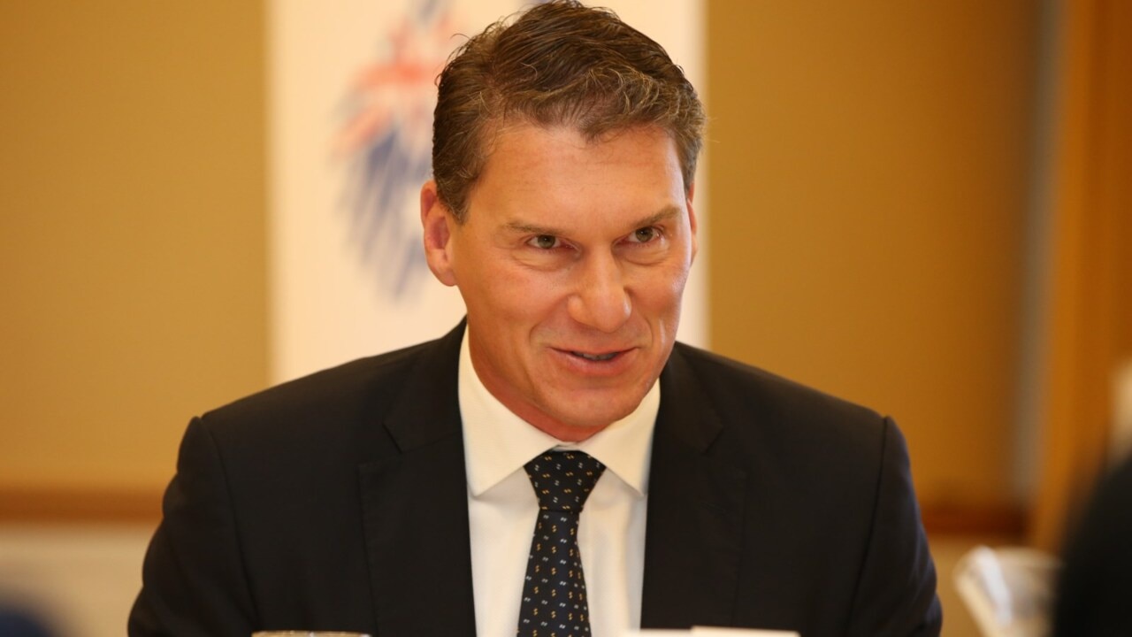 Political career 'has been quite a ride': Bernardi