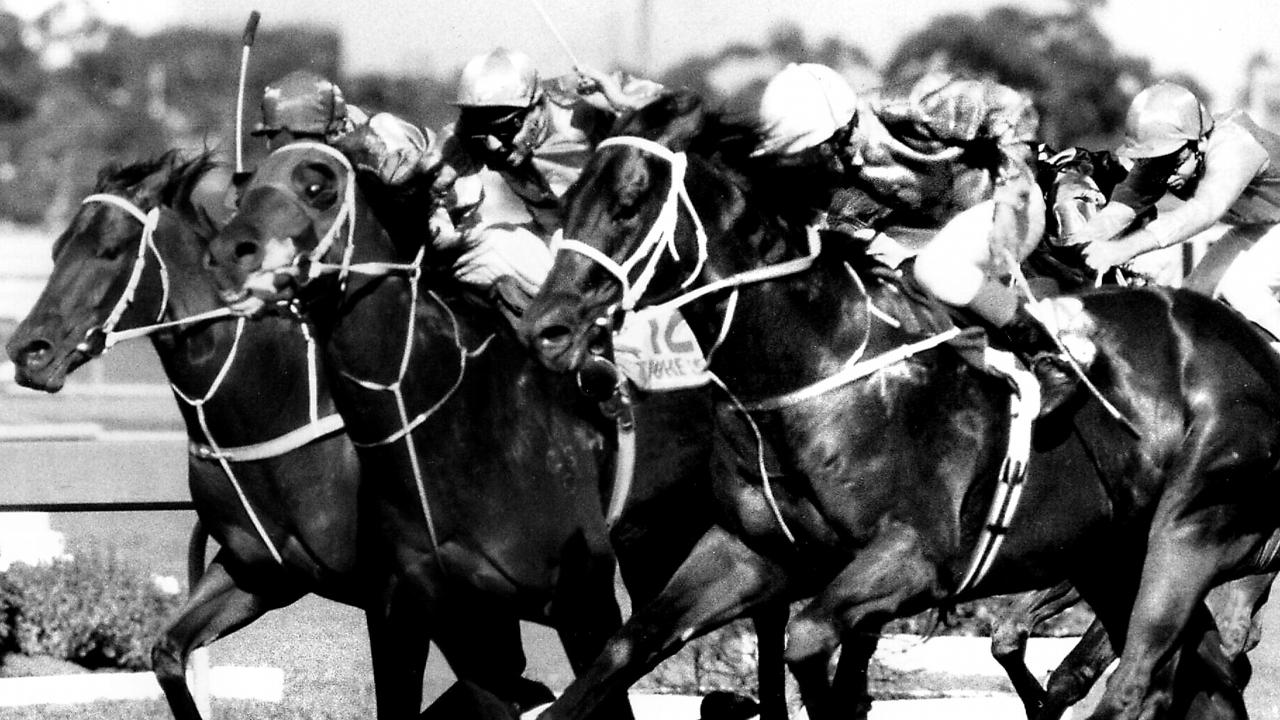 APRIL, 1987 : Racehorse Marauding (outside) ridden by jockey Ron Quinton wins 1987 Golden Slipper Stakes at Rosehill in Sydney, 04/87. Pic News Limited.  Turf A/CT