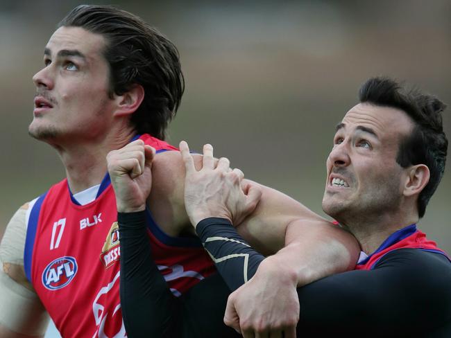 Tom Boyd tussles with Tory Dixon at Western Bulldogs training at Whitten Oval today. Picture: Michael Klein<br/>