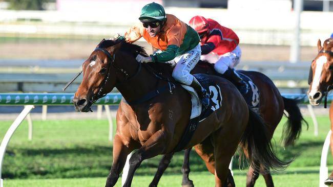 Roman Aureus winning at Doomben.