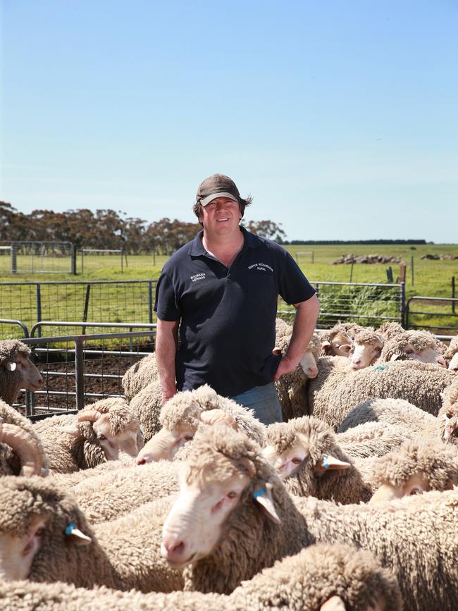 Will Lynch of Boorana Merinos in Woorndoo. Picture: Andy Rogers