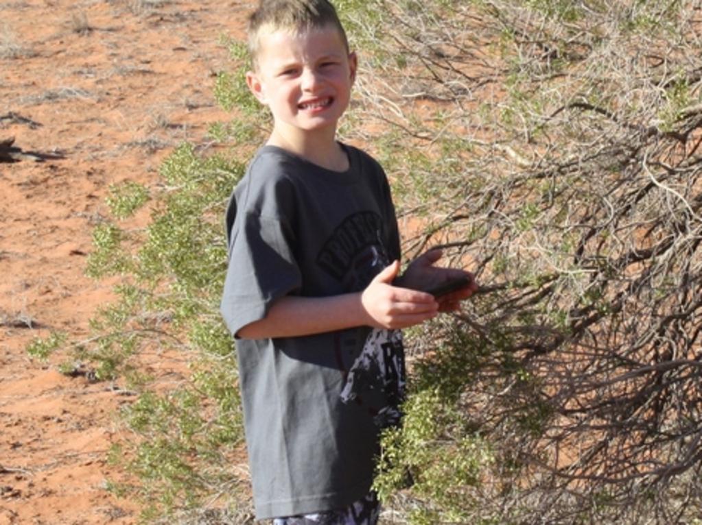 Royce Hucks, 6, from Quinyambie Station in the SA outback near Broken Hillwas SA's top player in the national science week 2019 Great AussieBioQuest. The biological smartphone app QuestaGame was invented becausemost children can identify Pokemon better than Australian wildlife.Supplied: Ashka McKenna