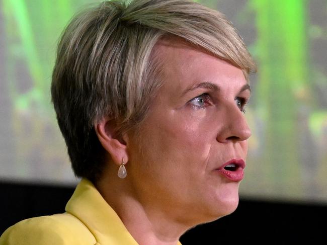 BRISBANE, AUSTRALIA - NewsWire Photos - DECEMBER 8, 2022.Federal Environment Minister Tanya Plibersek speaks at a press conference at QUT in Brisbane. Ms Plibersek has unveiled the government's overhaul of the environment protection act. Picture: Dan Peled