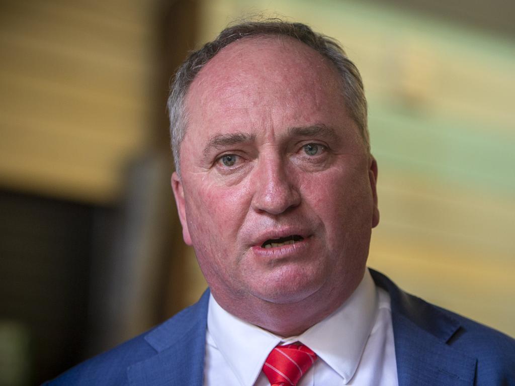 Deputy Prime Minister Barnaby Joyce. Picture: Emma Brasier