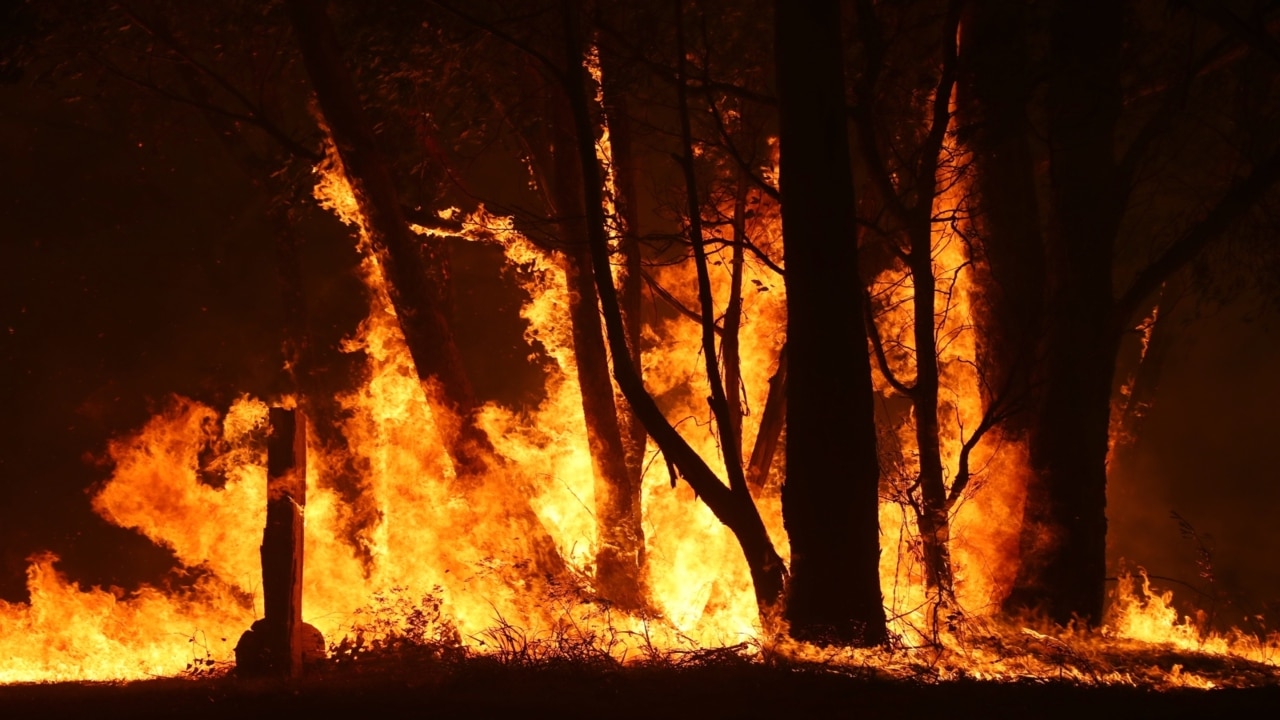 ‘Red tape’ has led to delay in allocation of millions in bushfire donations