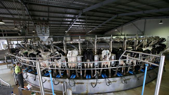 Code turnaround: Dairy processing giants will be able to cut farmgate prices only under exceptional circumstances. Picture: Andy Rogers